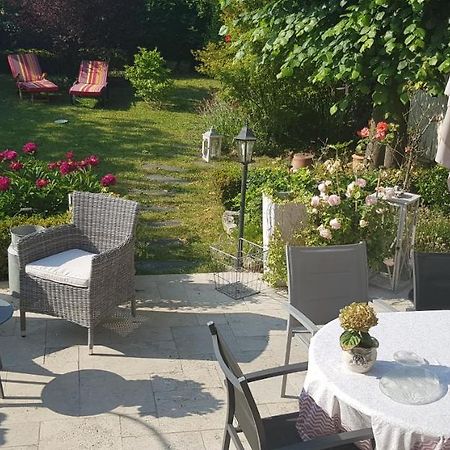 Le Vieux Tilleul Vaires-sur-Marne Luaran gambar