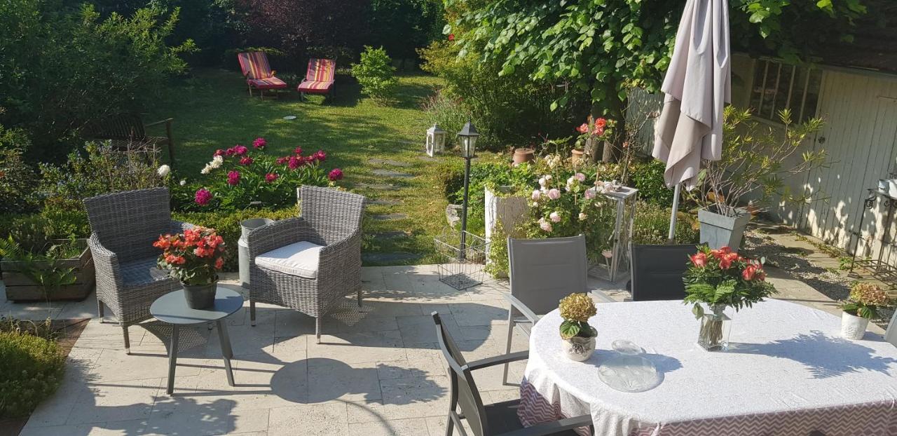 Le Vieux Tilleul Vaires-sur-Marne Luaran gambar